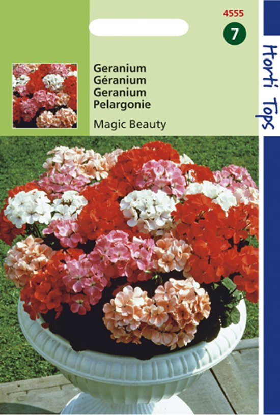 Geranium Magic Beauty F1 (Pelargonium zonale) 10 zaden